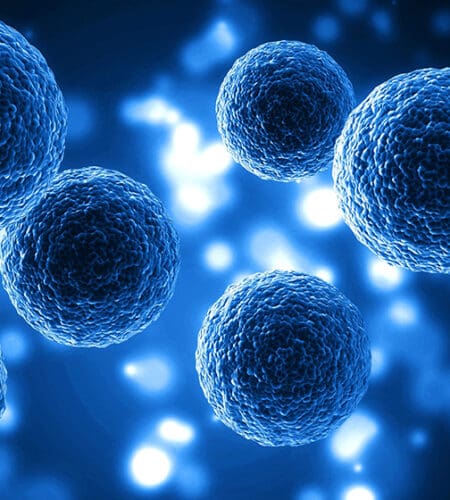 What are the cells in the pancreas that secrete insulin?