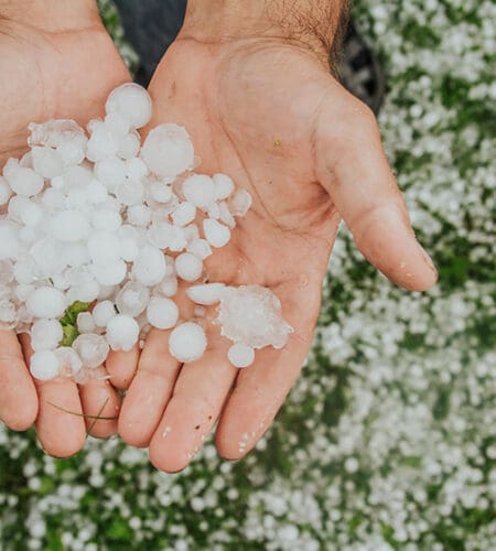 Where does hail form?