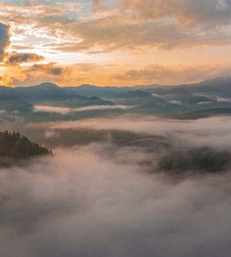 What type of cloud is fog?