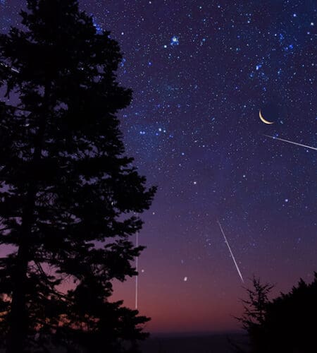 How many tons of meteor dust fall to Earth every day?