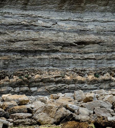 Which is not a sedimentary rock?