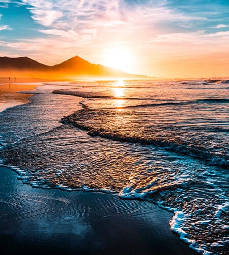What do you call the area of land that lies next to an ocean?