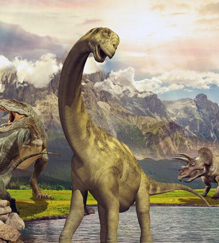 What evidence tells scientists that some dinosaurs may have lived together in groups?