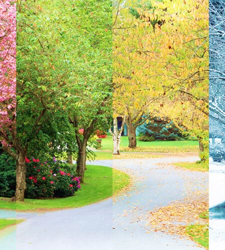 Which order is correct for the seasons of the year?