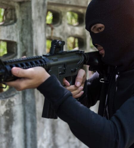 Who developed the M16/AR15 weapon system?