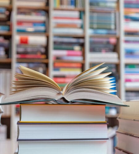 Who becomes the new queen at the end of “Bridge to Terabithia”?