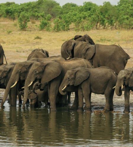 The book “Water for Elephants” by Sara Gruen takes place in what era?