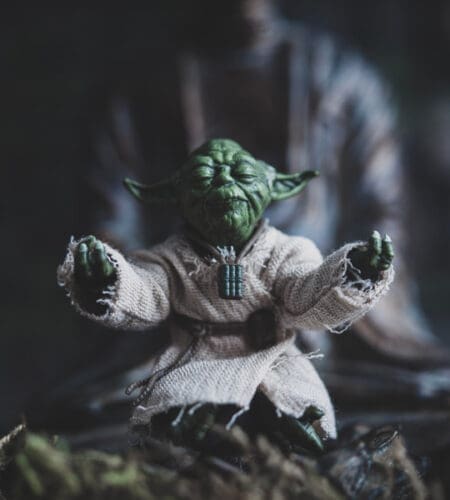 Yoda is a Sanskrit word meaning what?