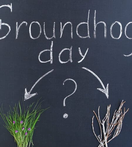 How does Phil kill himself and Punxsutawney Phil in the movie “Groundhog Day”?